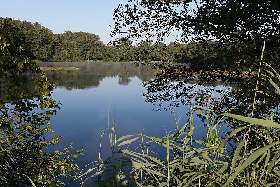 Bonfol-Etang-du-milieu